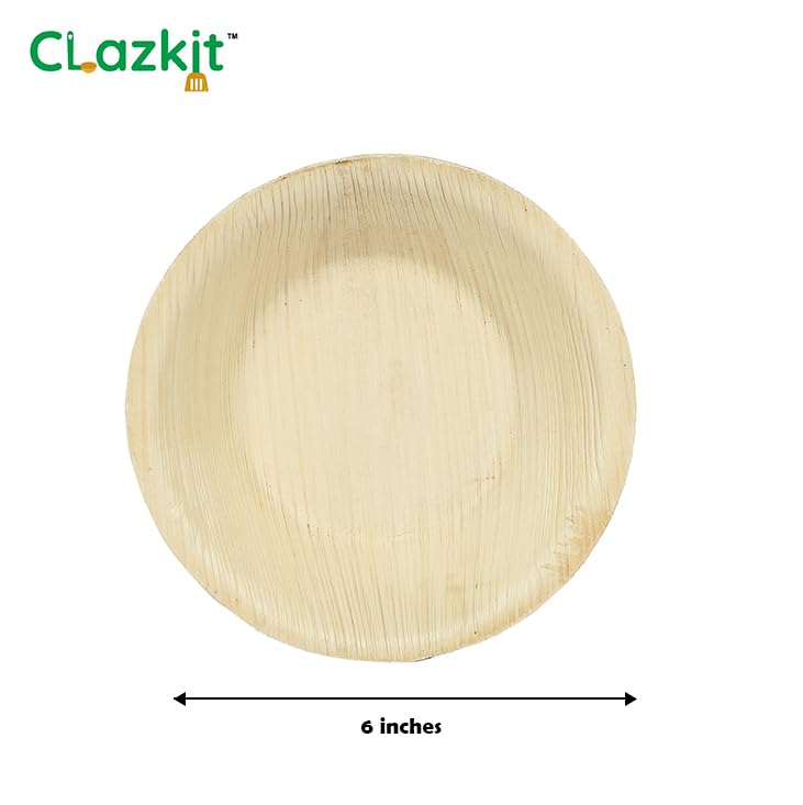 Clazkit Pack Areca Round Palm
