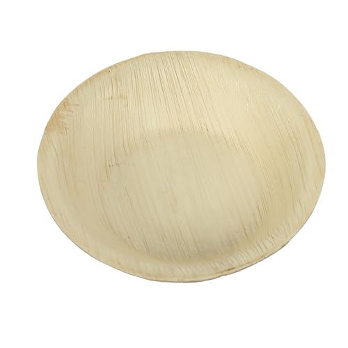 Clazkit Pack Areca Round Palm