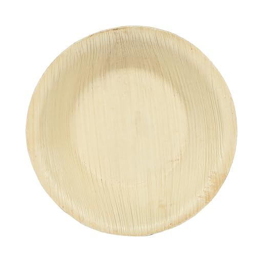 Clazkit Pack Areca Round Palm