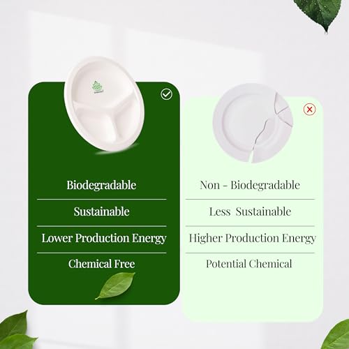 Shrayati Sugarcane Bagasse Plates