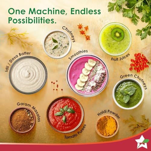 Wonderchef Vista Plus Mixer Grinder