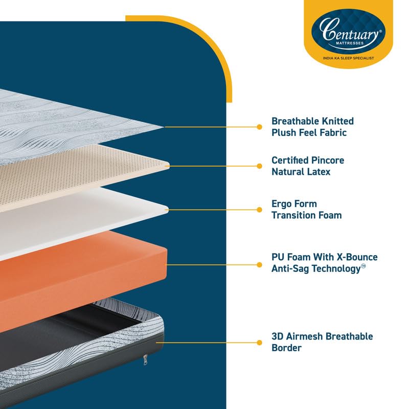 Centuary Mattresses Sleepables 8-Inch Latex