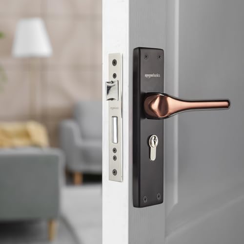 Amazon Basics Heavy-Duty Door Lock