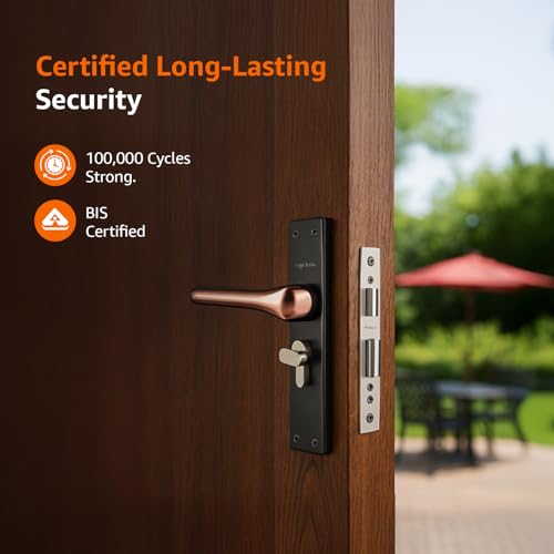 Amazon Basics Heavy-Duty Door Lock