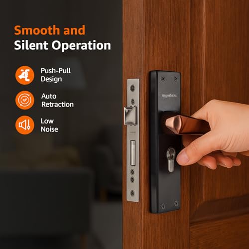 Amazon Basics Heavy-Duty Door Lock