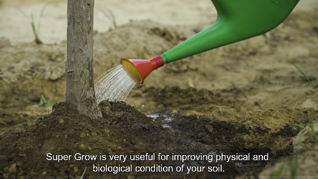 DIVINE TREE Supergrow Cow Dung