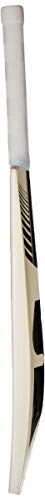 SG Scorer Classic Kashmir Willow