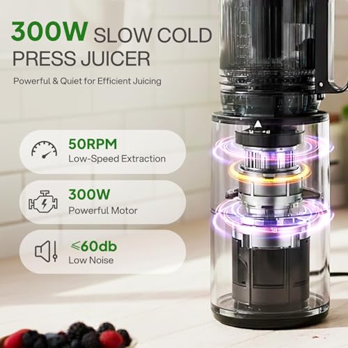 Cello Slow Juicer 300 Watts