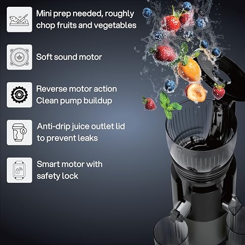 Cello Slow Juicer 300 Watts