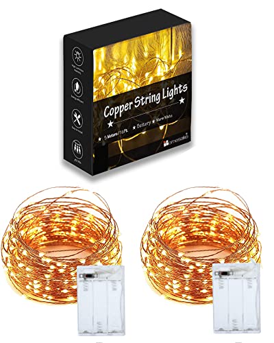 Homesake 50 LED Fairy Lights