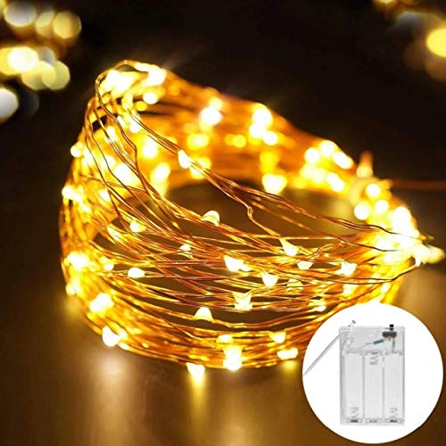Homesake 50 LED Fairy Lights