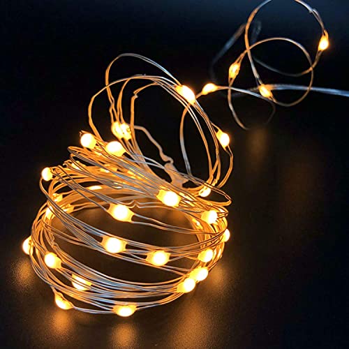 Homesake 50 LED Fairy Lights