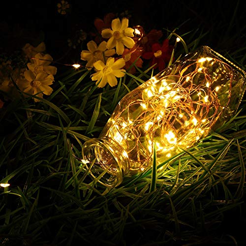 Homesake 50 LED Fairy Lights