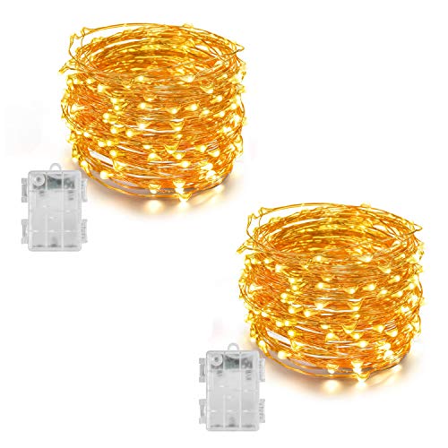 Homesake 50 LED Fairy Lights
