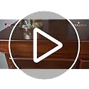 Royaloak Texas American Shoe Rack