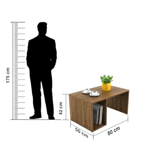 Spacewood Center Table | CT