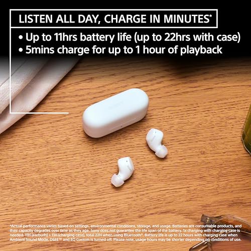 Sony WF-C510 Wireless Bluetooth Earbuds