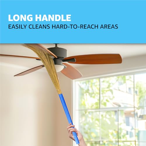 Amazon Brand - Presto! Floor Grass Broom | Pack of 1, Blue - Image 3