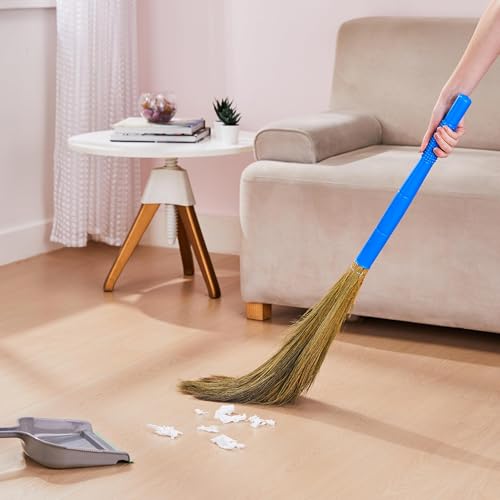 Amazon Brand - Presto! Floor Grass Broom | Pack of 1, Blue - Image 7