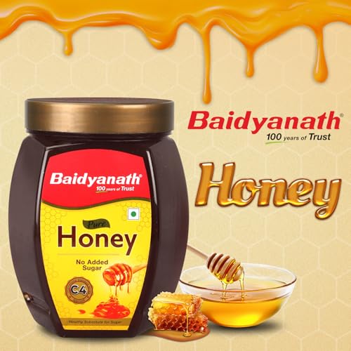 Baidyanath Ayurved Pure Honey
