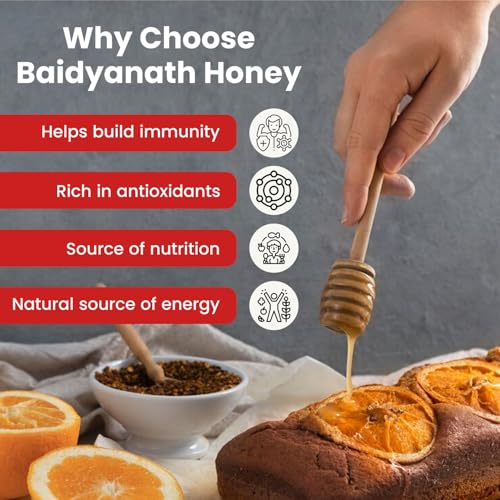Baidyanath Ayurved Pure Honey
