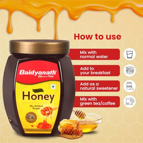 Baidyanath Ayurved Pure Honey
