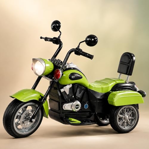 Lifelong Royal Electric Ride