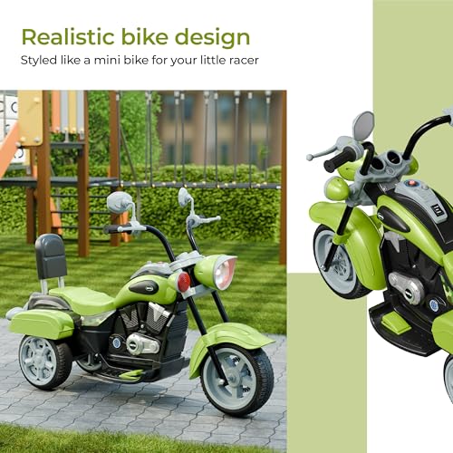 Lifelong Royal Electric Ride