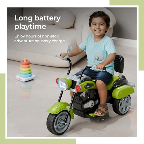 Lifelong Royal Electric Ride
