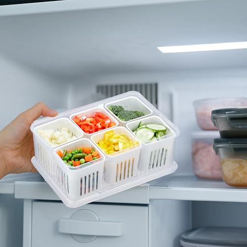 Amazon Brand - Solimo Plastic