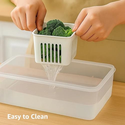 Amazon Brand - Solimo Plastic