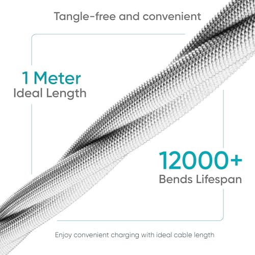 Ambrane Type C Cable 3A