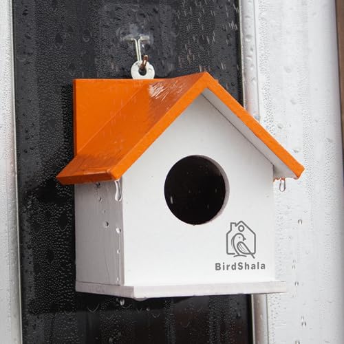 BIRDSHALA Bird House for Sparrow