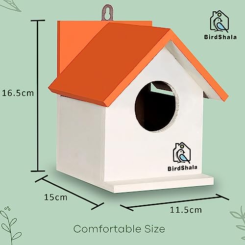 BIRDSHALA Bird House for Sparrow