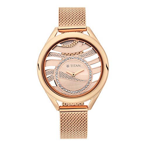 Titan Animalia Quartz Analog Stainless