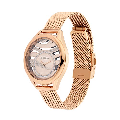Titan Animalia Quartz Analog Stainless