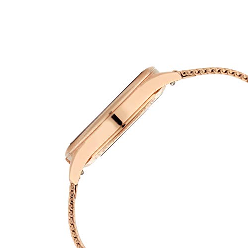 Titan Animalia Quartz Analog Stainless