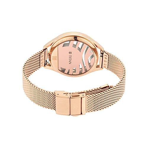 Titan Animalia Quartz Analog Stainless