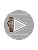 Titan Animalia Quartz Analog Stainless