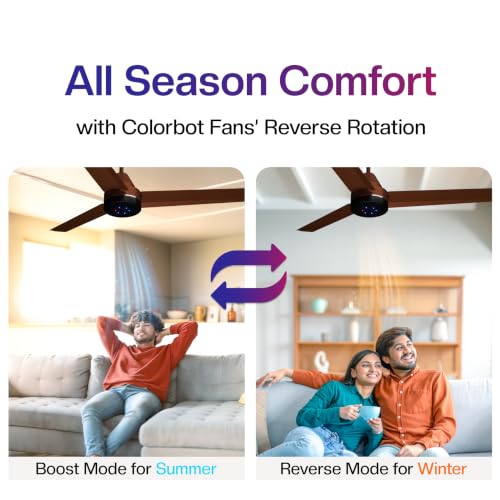 Colorbot Stella BLDC Ceiling Fans