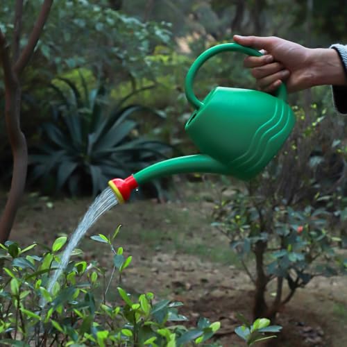Klassic Watering Can| Plastic Green