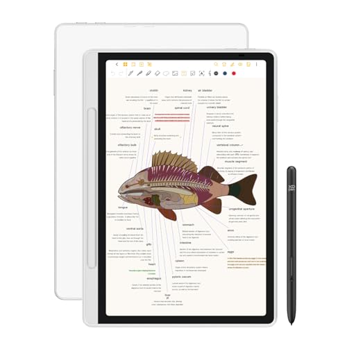 XP-Pen Magic Note Pad 10.95"