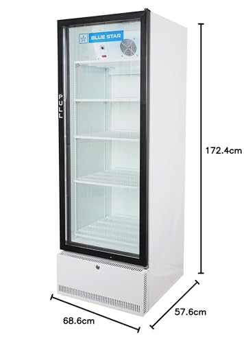 BLUE STAR SC375F 375 Liter Visi Cooler - Image 6