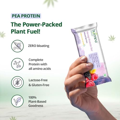 Hampa Hemp protein Bar 50g