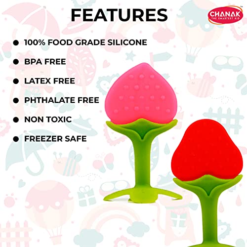 Chanak Baby Silicone Teether, Fruit