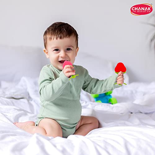 Chanak Baby Silicone Teether, Fruit