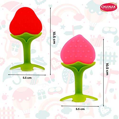Chanak Baby Silicone Teether, Fruit