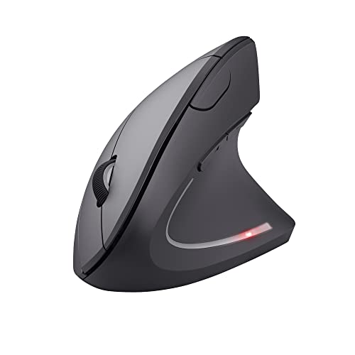 Trust Microware Rechargeable 2.4ghz Wireless