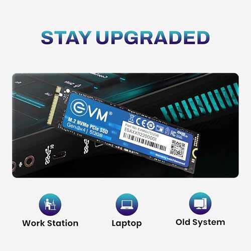 EVM 512GB NVMe M.2 SSD