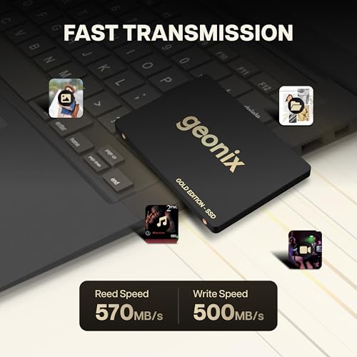 GEONIX SATA 2.5" 256GB Internal